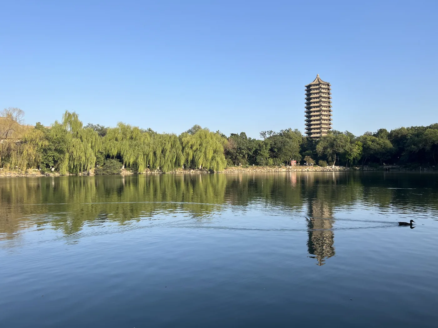 Weiming Lake with Boya Pagoda reflected, Peking University, Beijing