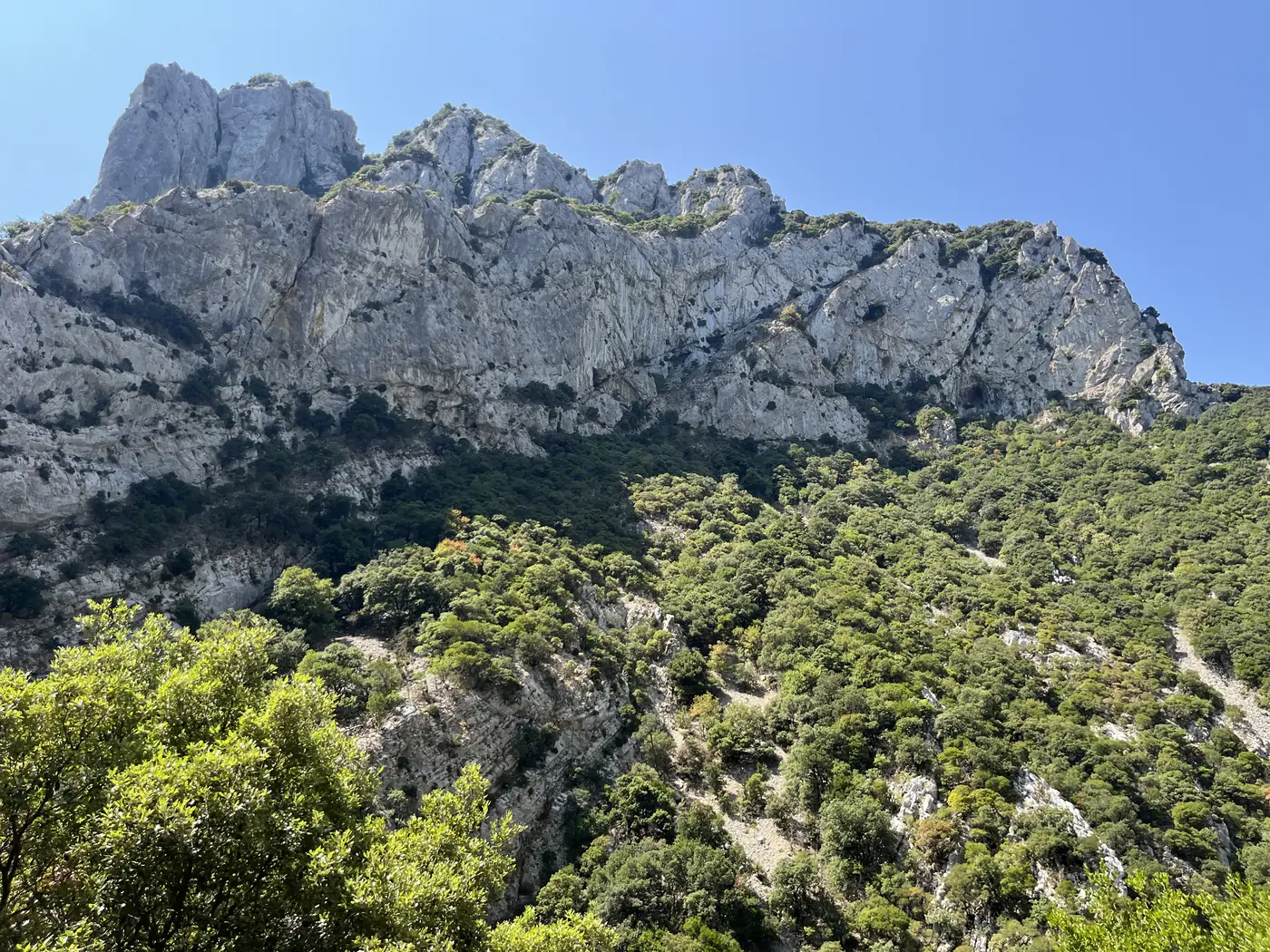 Jagged limestone mountain ridge rising above dense green scrubland in the Corbières hills of southern France
