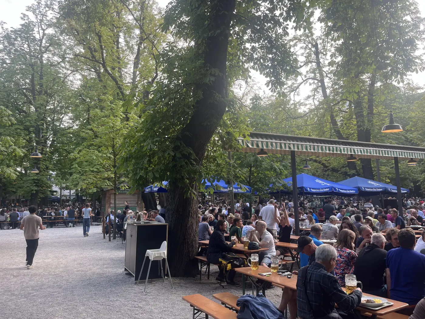 Crowded outdoor beer garden under tall chestnut trees in Munich's Englischer Garten, with blue umbrellas and long communal tables
