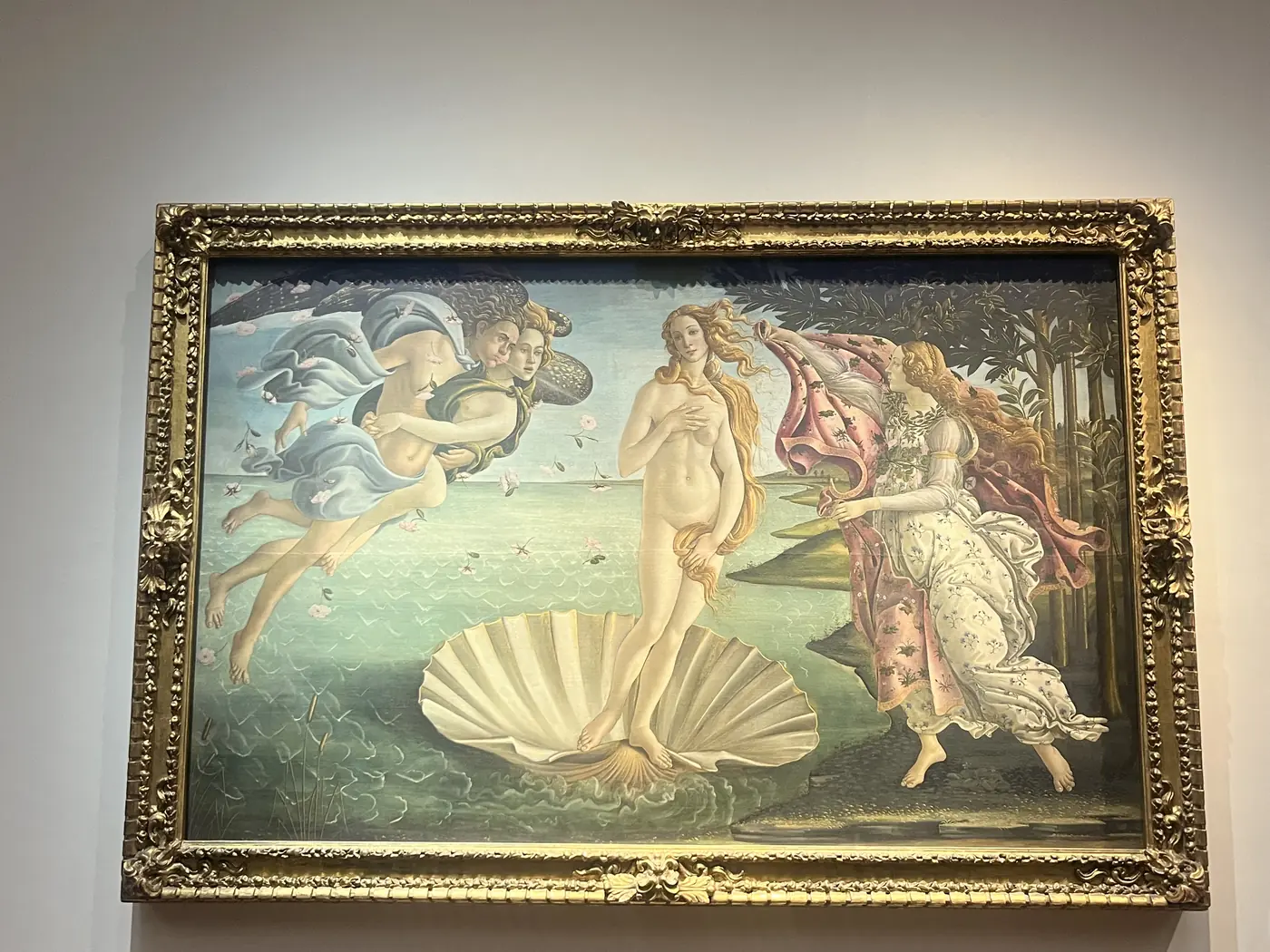 Botticelli's The Birth of Venus in an ornate gold frame, on display at the Uffizi Gallery, Florence