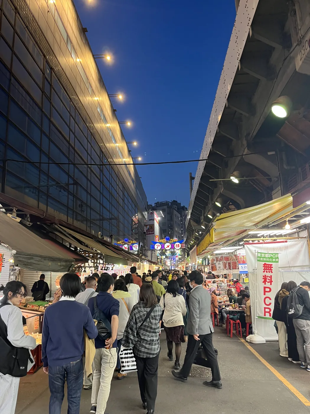 Ameyoko market under train tracks at dusk, Ueno, Tokyo