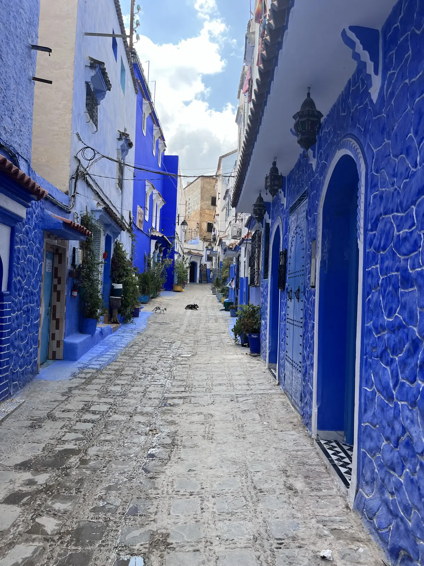 Chefchaouen travel photograph from the journey