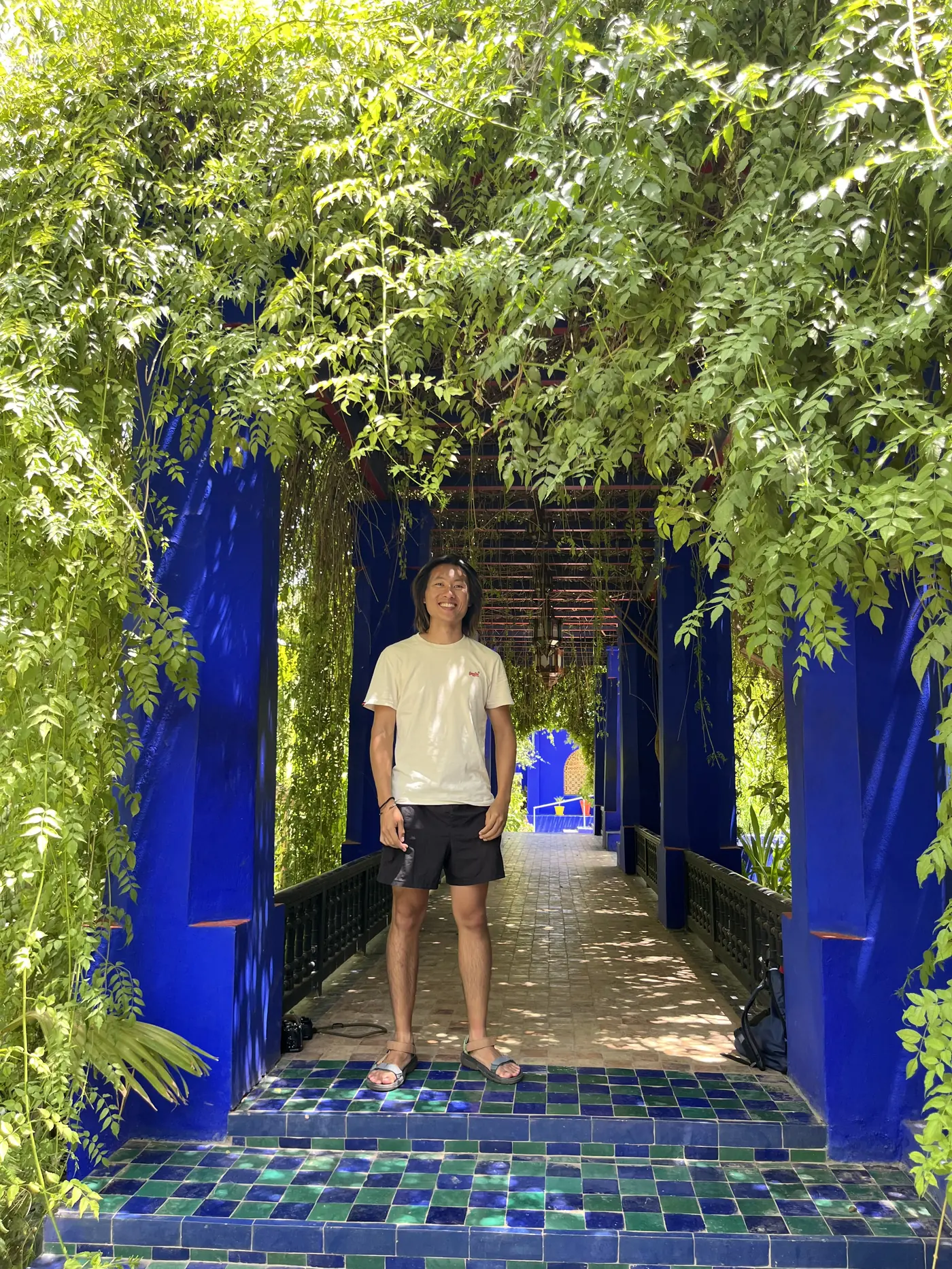 Shin standing under a vine-covered cobalt blue pergola walkway in the Jardin Majorelle, Marrakech