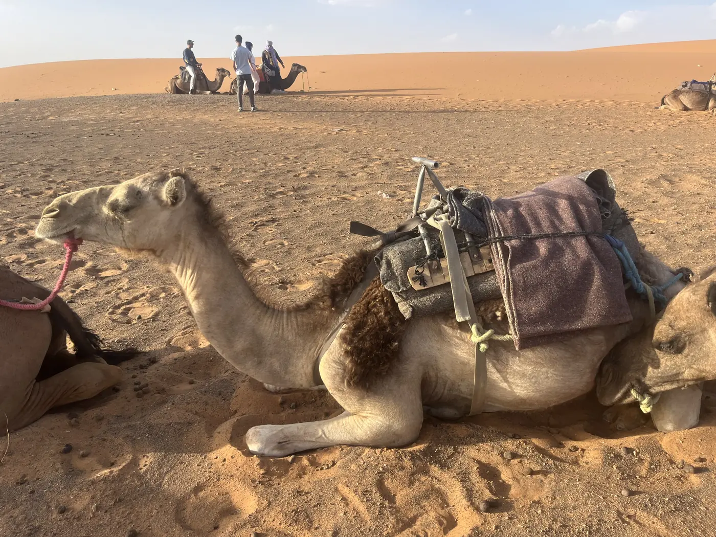 Merzouga travel photograph from the journey