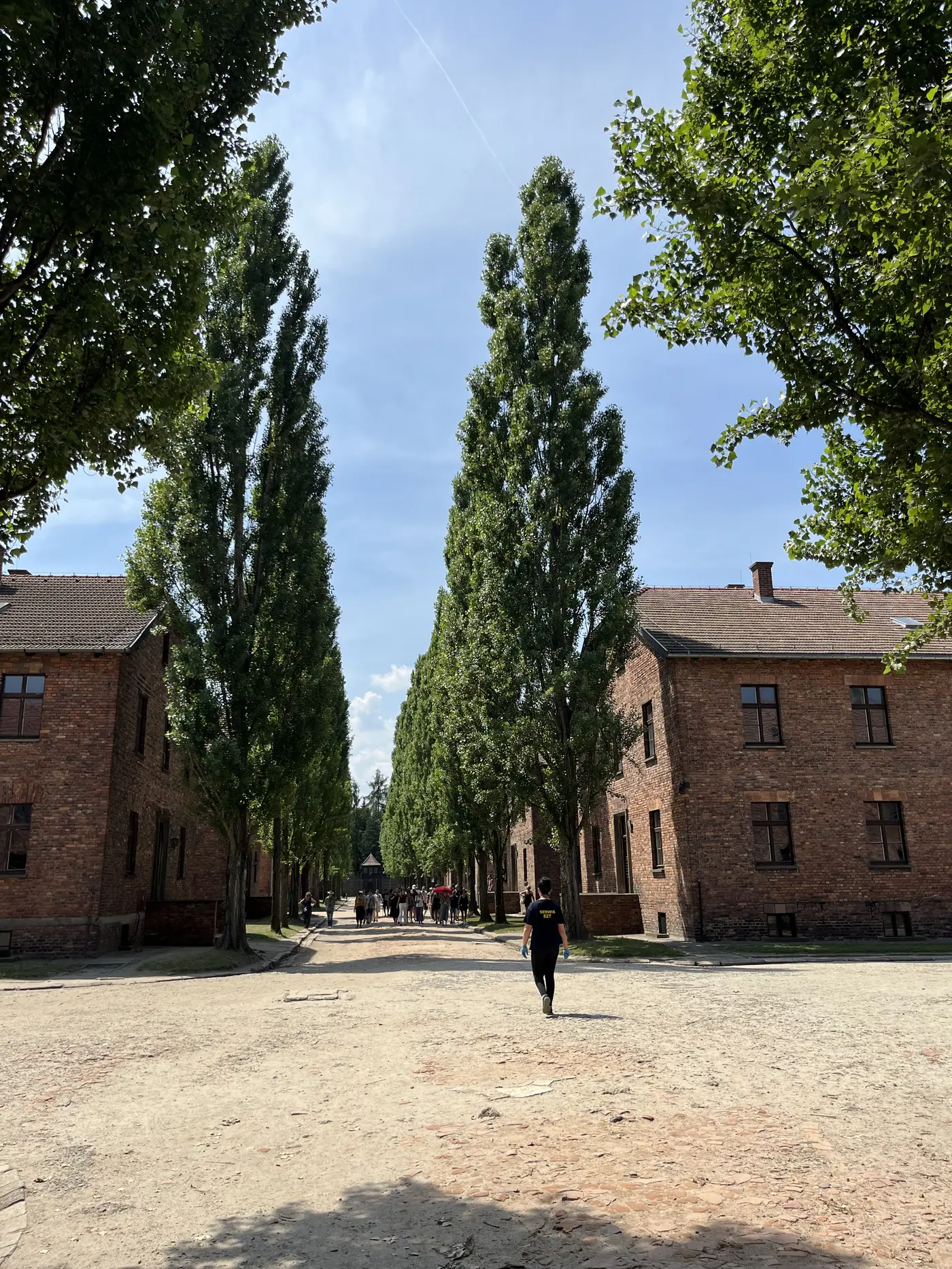 Poplar-lined path between rows of brick prisoner barracks at the Auschwitz I memorial site, visitors walking in the distance