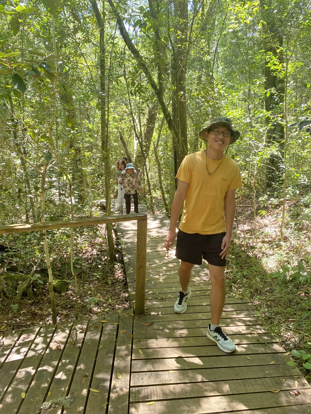 Walking on a wooden boardwalk through lush dense forest with sunlight filtering through the canopy