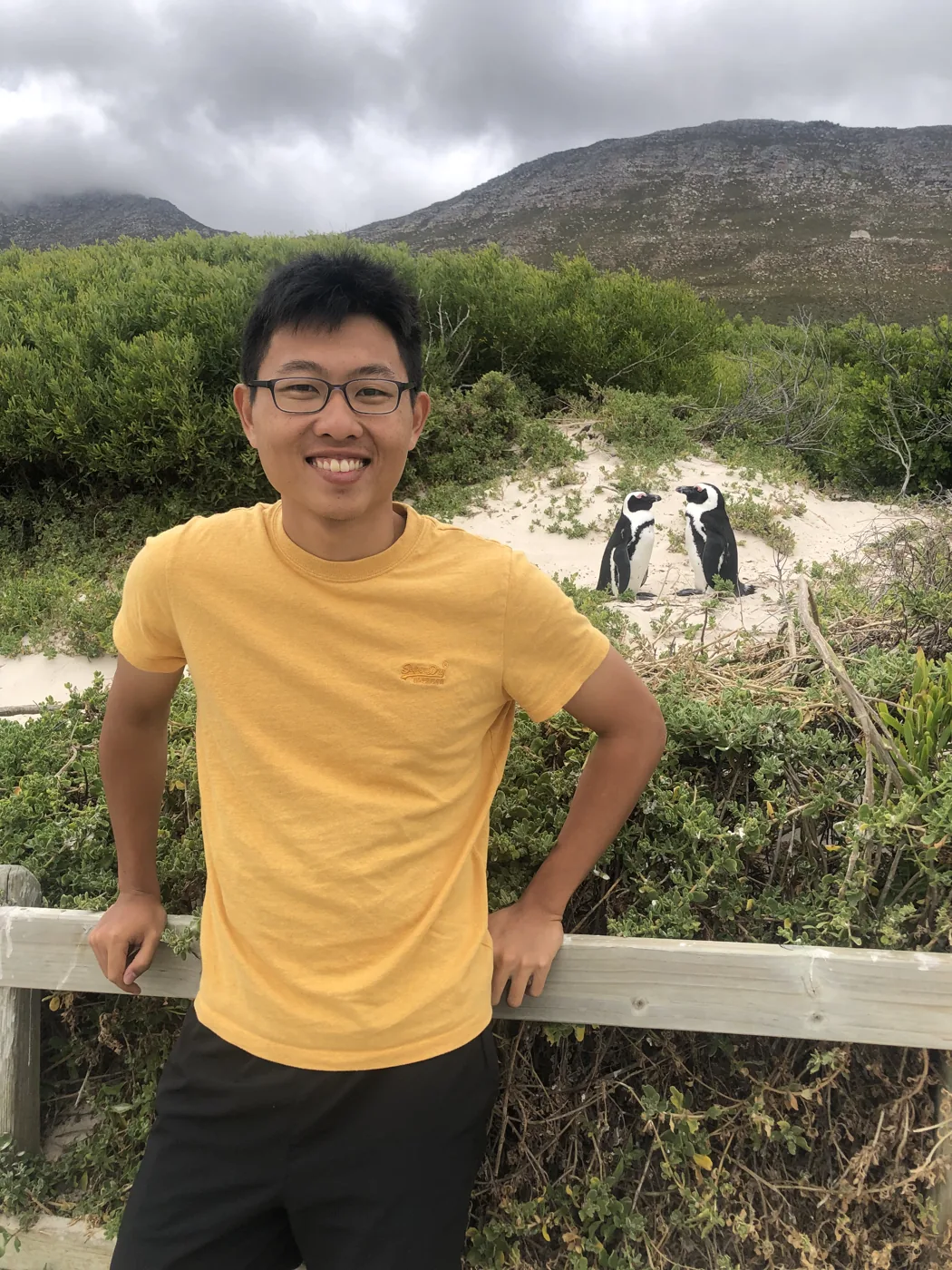 Standing next to African penguins at Boulders Beach, Simon's Town