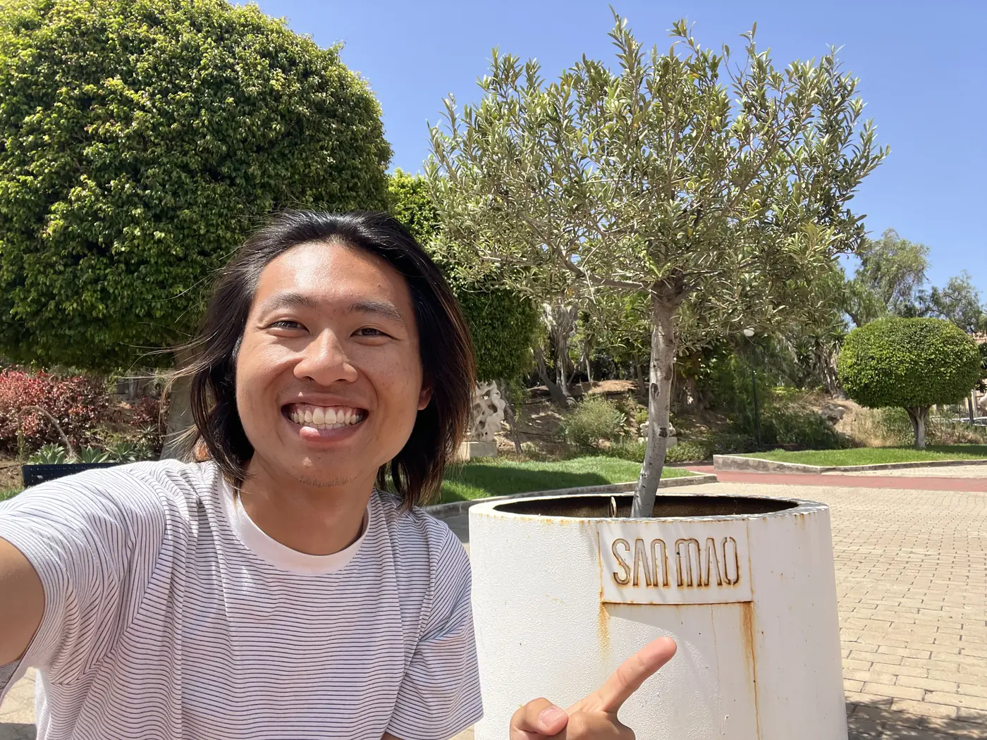 Shin smiling and pointing at a small olive tree labelled SANMAO planted in a stone planter in Gran Canaria