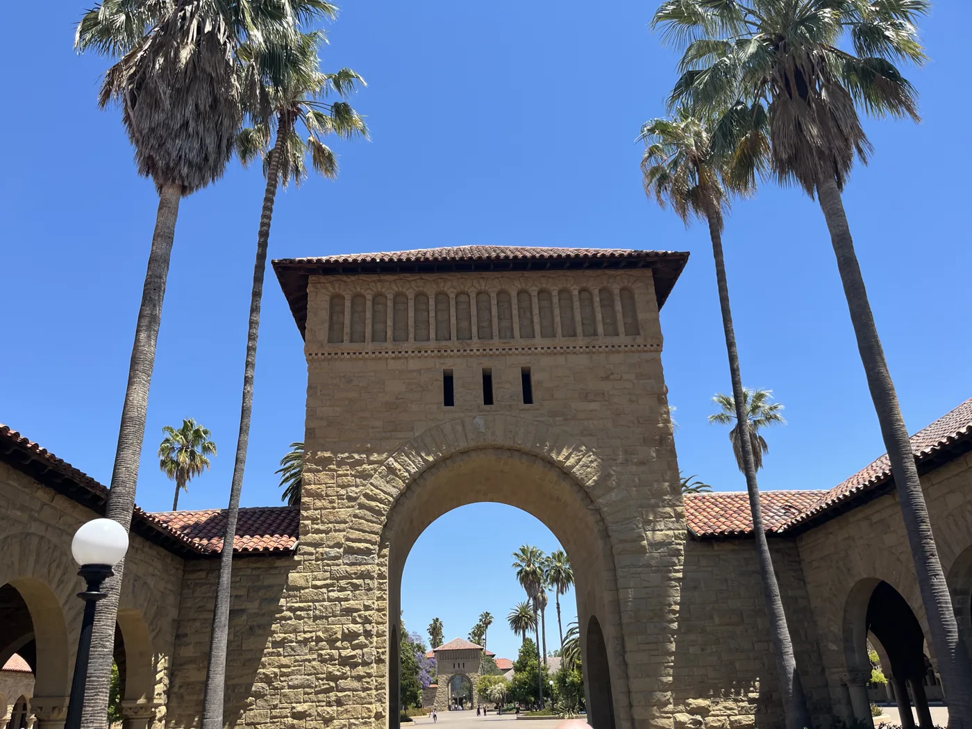 Stanford Main Quad archway with palm trees