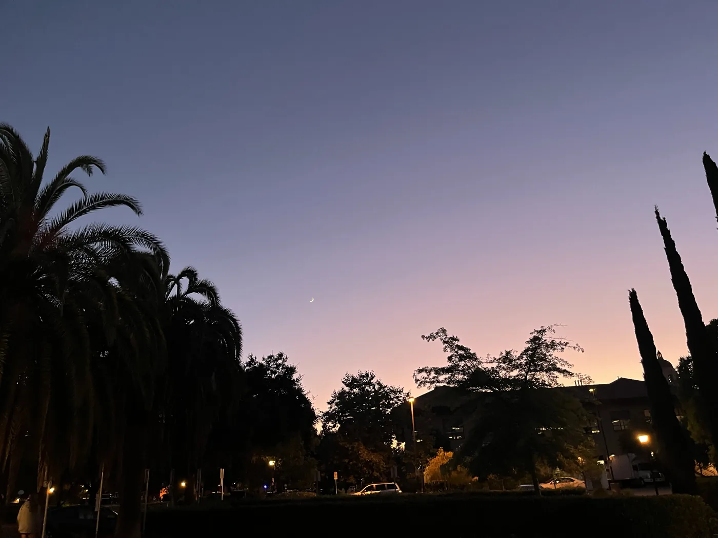 Stanford campus dusk with crescent moon and palm trees